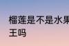 榴莲是不是水果之王啊 榴莲是水果之王吗