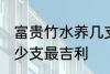 富贵竹水养几支最旺运 富贵竹水养多少支最吉利