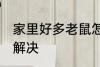 家里好多老鼠怎么办 家里有老鼠怎么解决
