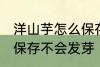 洋山芋怎么保存不会发芽 洋山芋如何保存不会发芽