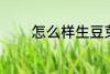 怎么样生豆芽 生豆芽的方法