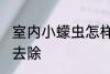 室内小蠓虫怎样去除 室内小蠓虫如何去除