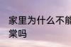 家里为什么不能养海棠 家里可以养海棠吗