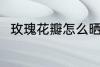 玫瑰花瓣怎么晒干 如何晒玫瑰花干