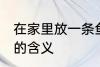 在家里放一条鱼有什么说法 养一条鱼的含义
