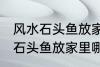 风水石头鱼放家里什么地方合适 风水石头鱼放家里哪个地方合适