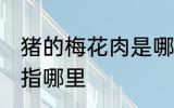 猪的梅花肉是哪个部位 猪的梅花肉是指哪里