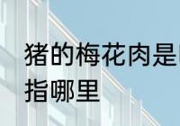 猪的梅花肉是哪个部位 猪的梅花肉是指哪里