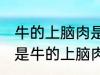 牛的上脑肉是哪个部位 什么位置的肉是牛的上脑肉
