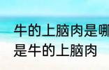 牛的上脑肉是哪个部位 什么位置的肉是牛的上脑肉
