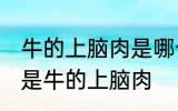 牛的上脑肉是哪个部位 什么位置的肉是牛的上脑肉