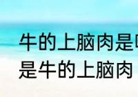 牛的上脑肉是哪个部位 什么位置的肉是牛的上脑肉