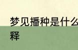 梦见播种是什么意思 梦见播种怎么解释