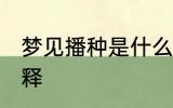 梦见播种是什么意思 梦见播种怎么解释