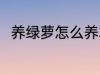 养绿萝怎么养才茂盛 养绿萝的方法