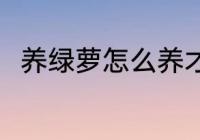 养绿萝怎么养才茂盛 养绿萝的方法