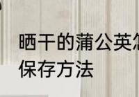 晒干的蒲公英怎么保存 晒干的蒲公英保存方法