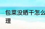 包菜没晒干怎么办 包菜没晒干怎么处理