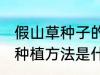 假山草种子的种植方法 假山草种子的种植方法是什么