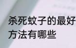 杀死蚊子的最好方法 杀死蚊子的最好方法有哪些