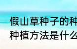 假山草种子的种植方法 假山草种子的种植方法是什么