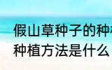 假山草种子的种植方法 假山草种子的种植方法是什么