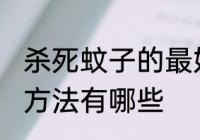 杀死蚊子的最好方法 杀死蚊子的最好方法有哪些