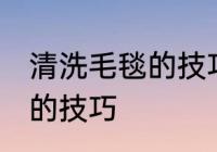 清洗毛毯的技巧有哪些 关于清洗毛毯的技巧