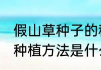 假山草种子的种植方法 假山草种子的种植方法是什么
