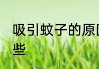 吸引蚊子的原因 吸引蚊子的原因有哪些