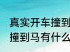 真实开车撞到马有什么兆头 梦到开车撞到马有什么预兆