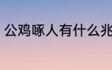 公鸡啄人有什么兆头 公鸡啄人的征兆