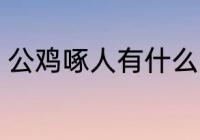公鸡啄人有什么兆头 公鸡啄人的征兆