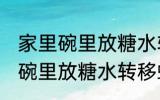 家里碗里放糖水转移蚊子注意力 家里碗里放糖水转移蚊子注意力介绍