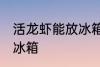 活龙虾能放冰箱吗 获得龙虾能不能放冰箱
