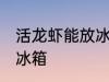 活龙虾能放冰箱吗 获得龙虾能不能放冰箱