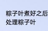 粽子叶煮好之后两头需要剪掉吗 如何处理粽子叶