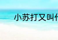 小苏打又叫什么 小苏打的简介