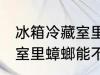 冰箱冷藏室里蟑螂能存活吗 冰箱冷藏室里蟑螂能不能存活