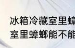 冰箱冷藏室里蟑螂能存活吗 冰箱冷藏室里蟑螂能不能存活