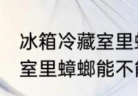 冰箱冷藏室里蟑螂能存活吗 冰箱冷藏室里蟑螂能不能存活