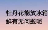 牡丹花能放冰箱保鲜吗 牡丹花冰箱保鲜有无问题呢