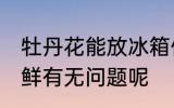 牡丹花能放冰箱保鲜吗 牡丹花冰箱保鲜有无问题呢