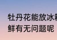 牡丹花能放冰箱保鲜吗 牡丹花冰箱保鲜有无问题呢