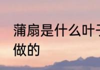 蒲扇是什么叶子做的 蒲扇是哪些叶子做的