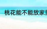 桃花能不能放家里 桃花能放家里吗