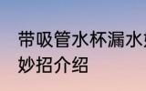 带吸管水杯漏水妙招 带吸管水杯漏水妙招介绍