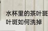 水杯里的茶叶斑怎么洗掉 水杯里的茶叶斑如何洗掉