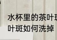 水杯里的茶叶斑怎么洗掉 水杯里的茶叶斑如何洗掉