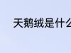 天鹅绒是什么材质 天鹅绒的材质